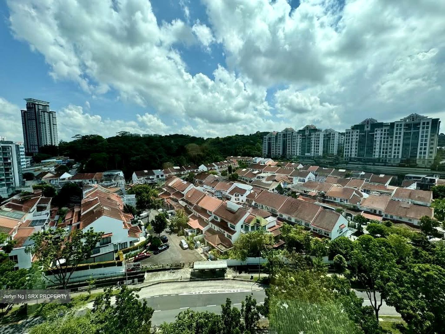 The Petals (D23), Condominium #538467331